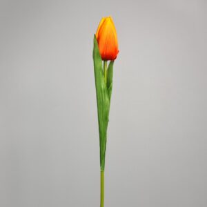 Kwiat Tulipan pojedynczy 50cm