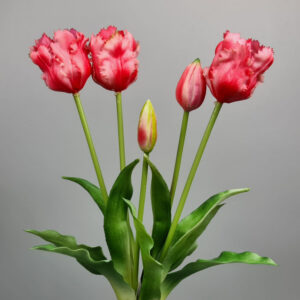 Bukiet Tulipana x5 Lateksowy