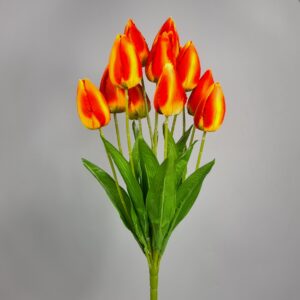 Bukiet Tulipana x12