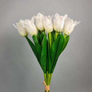Bukiet Tulipan Papuzi x9 40cm
