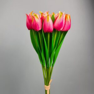 Bukiet Tulipana x9 35cm