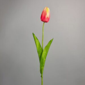 Kwiat Tulipan Pąk pojedynczy 50cm