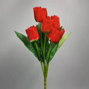 Bukiet Tulipana x9 46cm