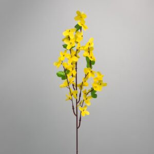 Kwiat Forsycja gałązka x5